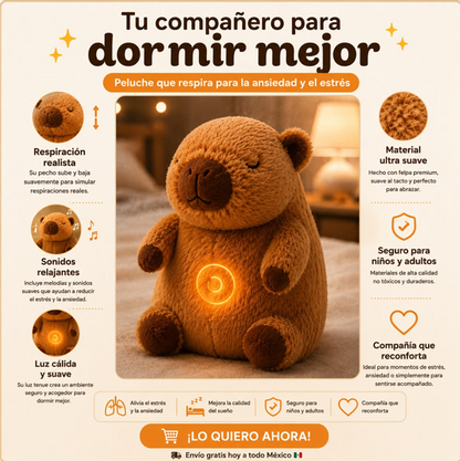 DreamNest™